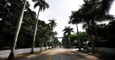 City of palms. Things To Know About City of palms. 